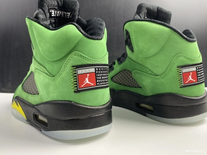 Rep Air Ducks 5 CK6631-307 Jordan SE Oregon 0814